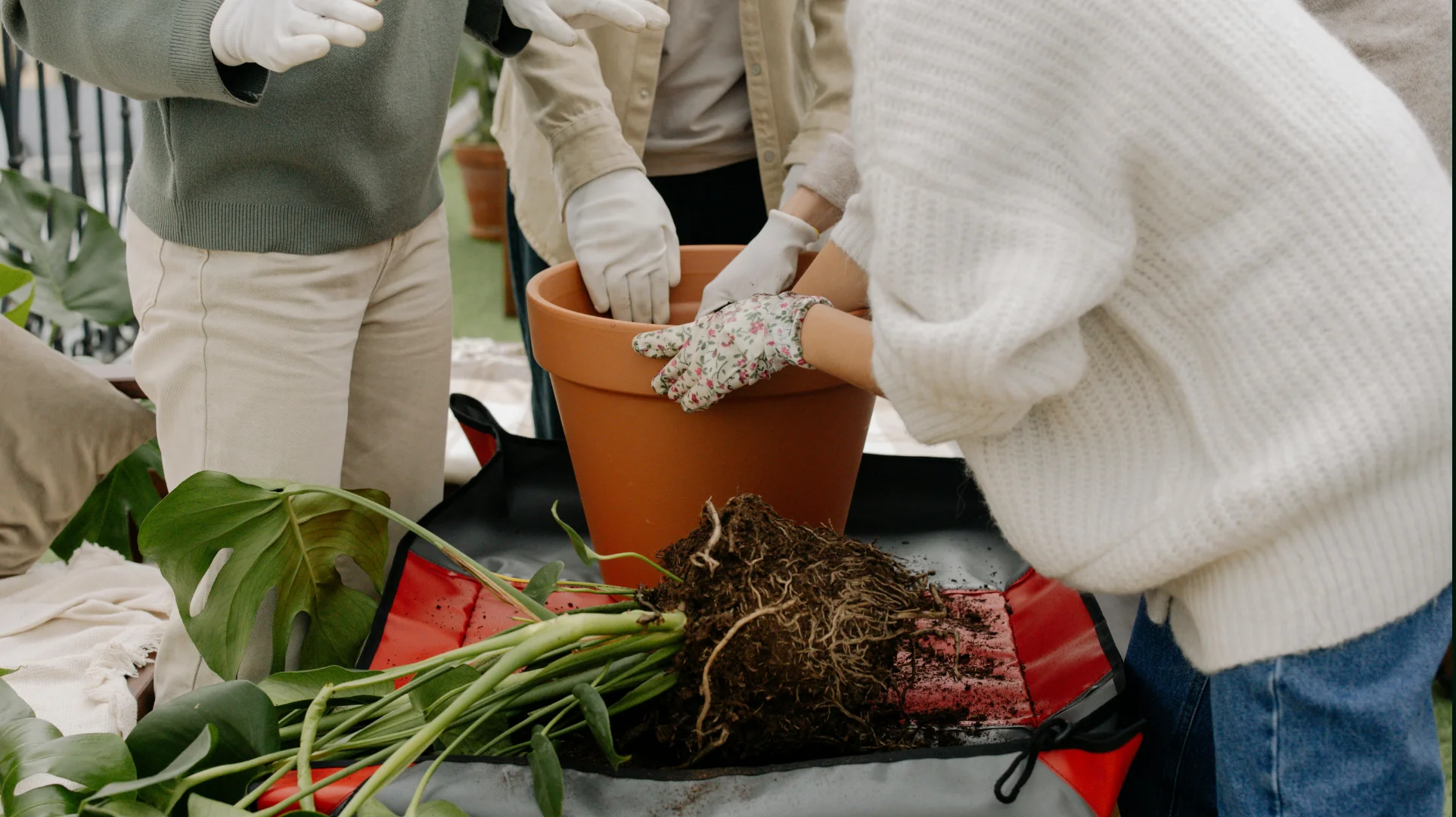 Visual overview of project